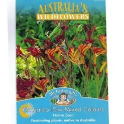Green Plant Corner 21 Green Plant Corner -Green Plant Corner apo kangaroo paw mixed seed