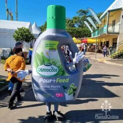 Osmocote 1L Pour + Feed Cacti And Succulent Fertiliser 7 Osmocote 1L Pour + Feed Cacti And Succulent Fertiliser -Green Plant Corner apo pour feed mascot qge