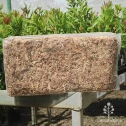 Sphagnum Moss 12L -Green Plant Corner apo sphagnum sun