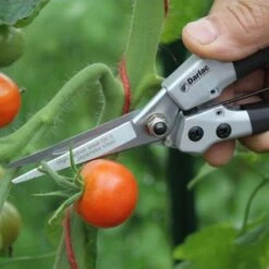 Compact Snips -Green Plant Corner compact snips