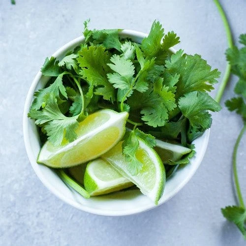 Coriander Lemon - Seed 4 Coriander Lemon - Seed - Image 2