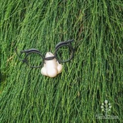 Casuarina Cousin It -Green Plant Corner cousin it 4 fake nose