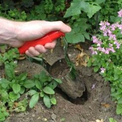 Darlac Hand Bulb Planter -Green Plant Corner darlac bulb planter