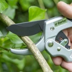 Ratchet Anvil Secateurs -Green Plant Corner darlac ratchet anvil pruner closer 1
