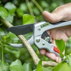 Ratchet Anvil Secateurs -Green Plant Corner darlac ratchet anvil pruner 1