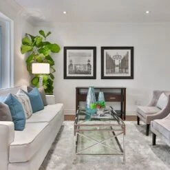 Ficus Lyrata - Fiddle Leaf Fig -Green Plant Corner fiddle leaf fancy room