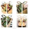 Gift Card -Green Plant Corner gifts square 1