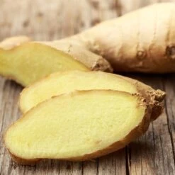Zingiber - Edible Ginger 14 Zingiber - Edible Ginger -Green Plant Corner ginger root 500 1