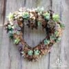 Sphagnum Moss 12L -Green Plant Corner heart frame planted