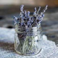 Lavender English Munstead - Seed -Green Plant Corner lavender dried