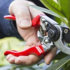 Left Hand Bypass Secateurs 8 Left Hand Bypass Secateurs -Green Plant Corner left handed secateurs closer