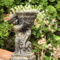 Lotus Red Flash - Parrot's Beak -Green Plant Corner lotus planted