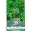 Lettuce Mixed Salad Leaves - Seed -Green Plant Corner mrf mixed salad