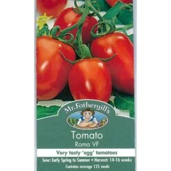 Green Plant Corner 12 Green Plant Corner -Green Plant Corner mrf roma