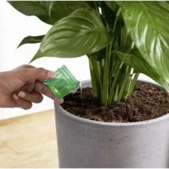 Osmocote 1L Pour + Feed House Plants Fertiliser -Green Plant Corner osmocote pour and feed indoor
