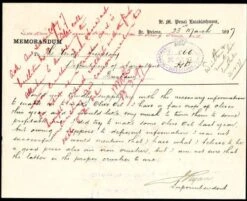 Olive Helena -Green Plant Corner postcard from st helena superintendent 500 2