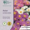Aster Alpine Mix - Seed 2 Aster Alpine Mix - Seed -Green Plant Corner rhs alpine aster