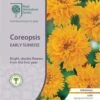 Coreopsis - Seed