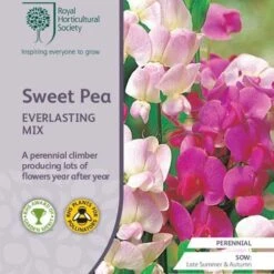 Sweet Pea Everlasting Mix - Seed