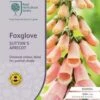 Foxglove Sutton's Apricot - Seed 1 Foxglove Sutton's Apricot - Seed -Green Plant Corner rhs foxglove apricot