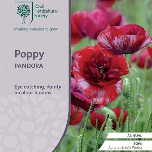 Poppy Pandora - Seed 3 Poppy Pandora - Seed