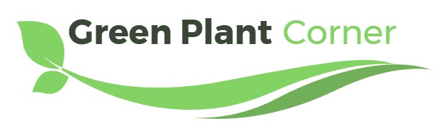 Green Plant Corner